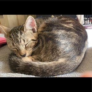 Meet your Posher, Alex